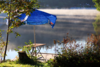 conbey lake 6620488 © Bild von Constanze Beyer auf Pixabay