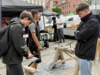 Handwerksmesse auf dem Markt in Naumburg