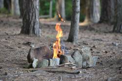 Ein Feuer im Wald