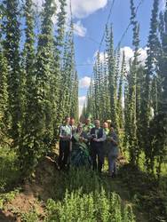 Erfolgreicher Auftakt für die 1. Hopfenmeile hopfenfeld