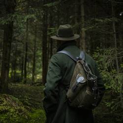 forest ga6ac99ac3 1920