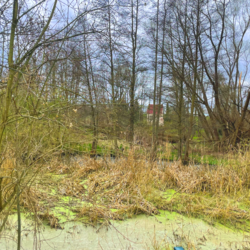 Beispielbild für die Teiche © Pressestelle Burgenlandkreis img 8033