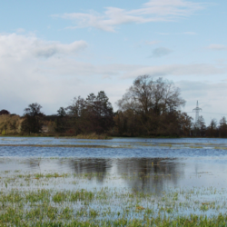 Symbolbild für Hochwasser © Noir von pixabay love, peace, and joy
