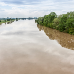hochwasser 1