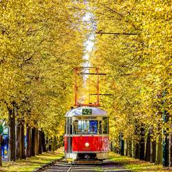 Langfristige Finanzierung für die Naumburger Straßenbahn im ÖPNV vorerst fehlgeschlagen