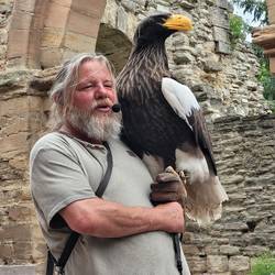 Falknershow Memleben © Kloster Memleben Falkner Hans-Peter Schaaf vom Jagdfalkenhof Proschwitz