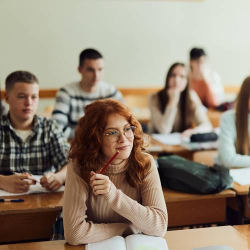 Menu: Politische Bildung
