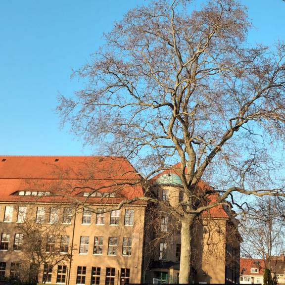 2021 04 01 Pestalozzischule 2