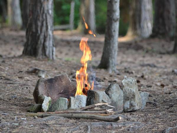 Erhöhte Waldbrandgefahr © Pixaby Ein Feuer im Wald